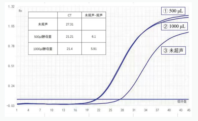 酵母菌樣本超聲破碎后前后擴增循環數對比