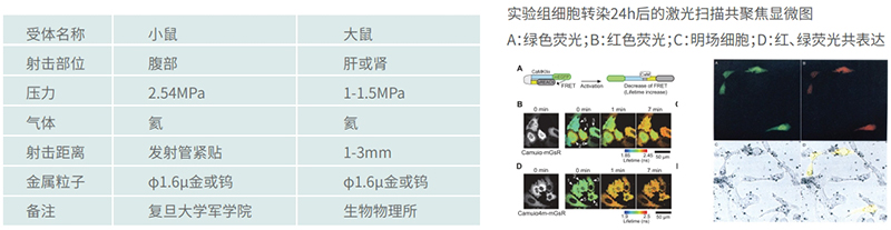 實(shí)驗(yàn)條件參考表