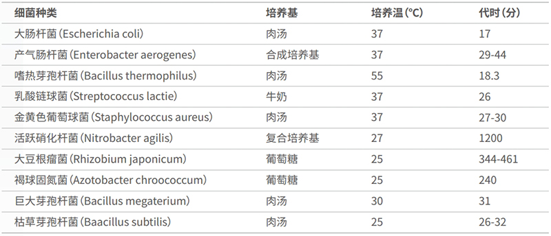 常見(jiàn)的微生物培養(yǎng)