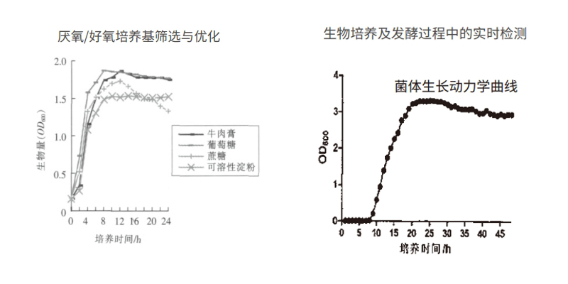 過程安全，結果精準